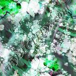 Colour:C