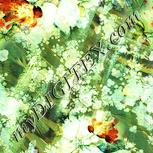 Colour:K