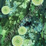 Colour:K