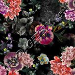 Colour:A