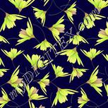 Colour:D
