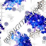 Colour:F