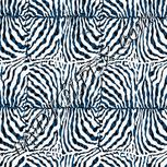 Colour:F