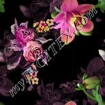 Colour:A