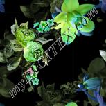 Colour:C