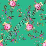 Colour:A