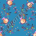 Colour:B