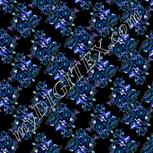 Colour:F
