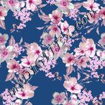 Colour:B