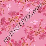 Colour:J