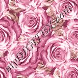 Colour:J