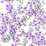 Colour:D