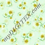 Colour:K