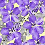 Colour:D