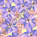 Colour:J
