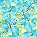Colour:K