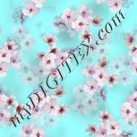 Colour:B
