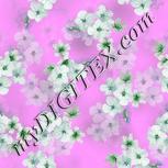 Colour:C