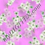 Colour:D