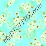 Colour:K