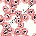 Colour:B