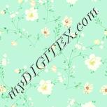 Colour:K