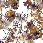 Colour:A