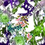 Colour:A