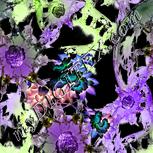 Colour:F