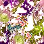 Colour:J
