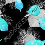 Colour:F