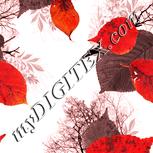 Colour:J