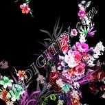 Colour:B