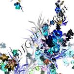 Colour:F