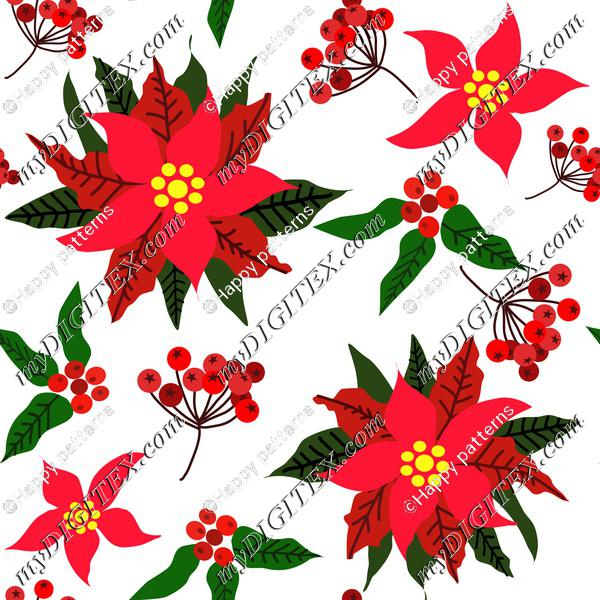 Christmas Star Flower,Red Berries and Green Leaves Ponsettia Flower on white