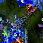 Colour:F