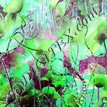 Colour:C