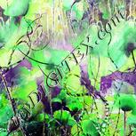 Colour:D