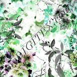 Colour:B