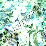 Colour:K