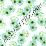Colour:K