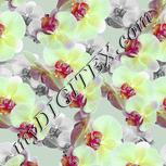 Colour:B