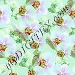 Colour:K