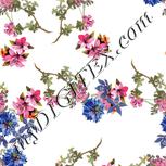 Colour:A