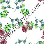 Colour:C