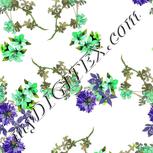 Colour:D
