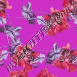 Colour:B
