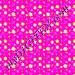 Colour:B