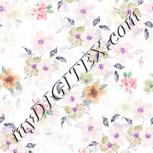 Colour:B
