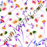 Colour:B